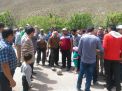 گزارش تصویری از همایش پیاده روی کارکنان در 22 اردیبهشت ماه 